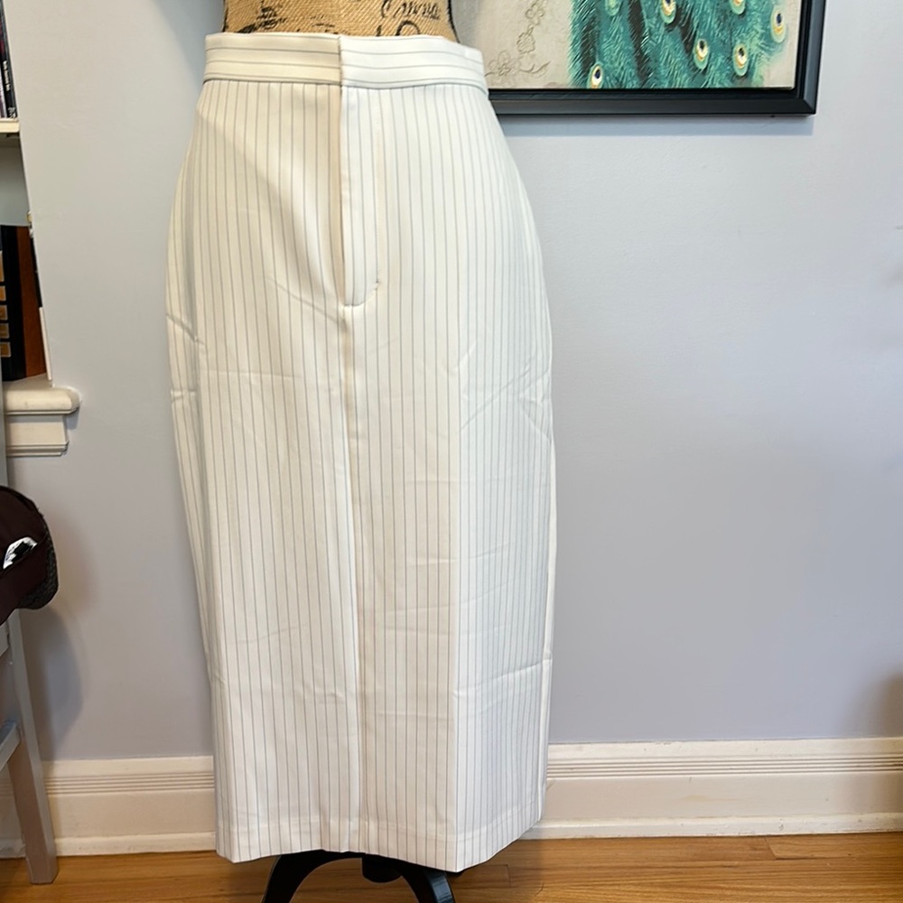 Banana Republic Elegant White Pinstripe Skirt Sz 6 NWT